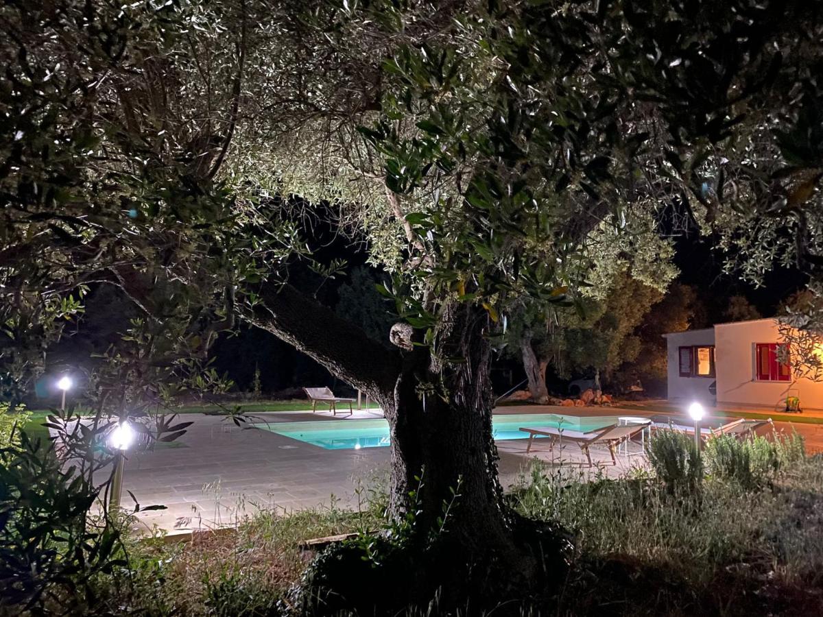 Le Radici Bed & Breakfast Monopoli Exterior photo
